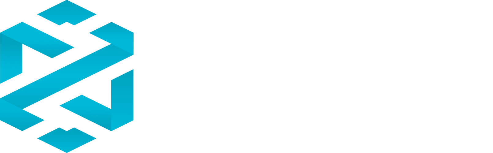 XV Logo